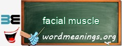 WordMeaning blackboard for facial muscle